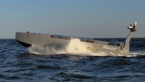 MV11 of the Magura family