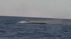 Ukrainian forces have used a naval drone to destroy a Russian unmanned surface vessel in the Black Sea.