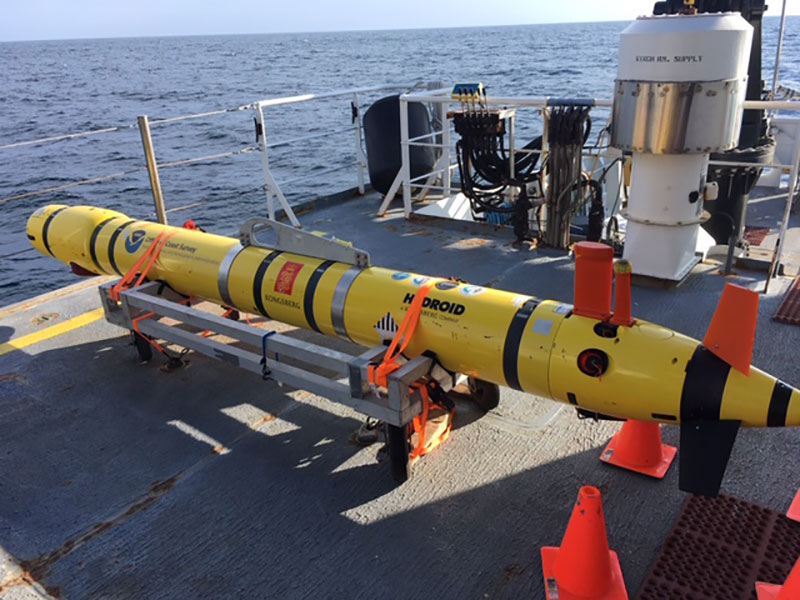 Illustrative photo of the REMUS 600 AUV.