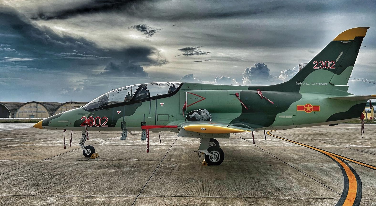 L-39 Skyfox (L-39NG) aircraft of the Vietnam People's Air Force, March 2025.